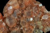 Aragonite Twinned Crystal Cluster - Morocco #59790-2